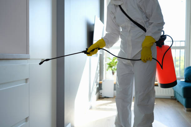 Crawl Space Mold Removal in Gulf Park Estates, MS